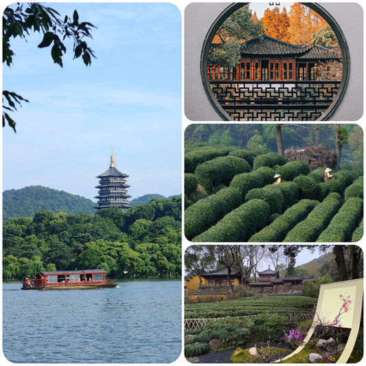 Hangzhou - Serene Hangzhou: Where Tea Grows and Nature Unfolds