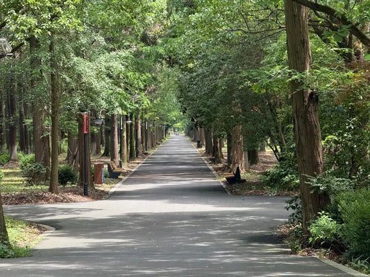 Top Spots in July: Hidden Forest Getaway in Shanghai