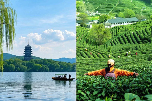 Leifeng Pagoda over West Lake and Dragon Well tea fields – private Hangzhou tour
